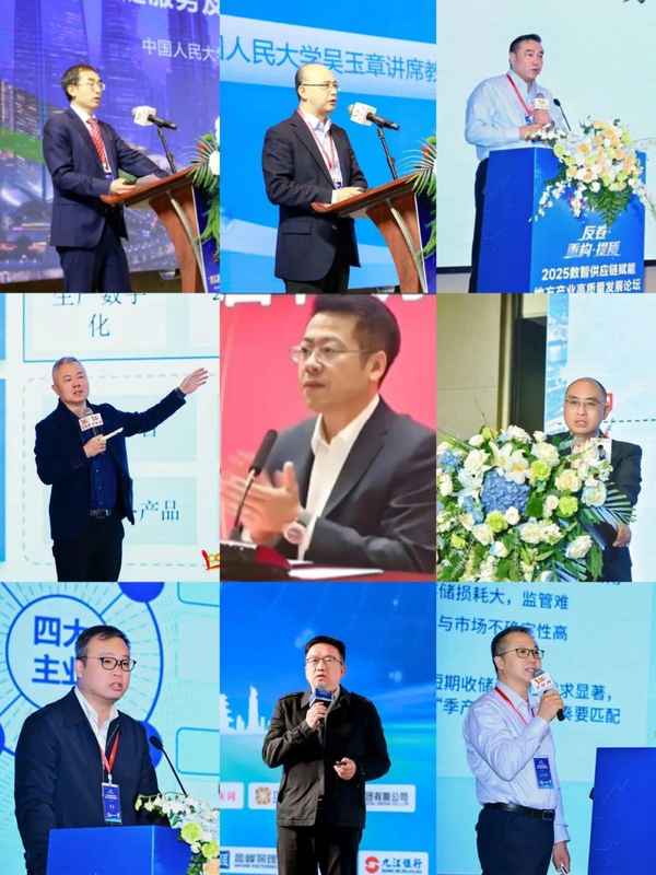  洞察产业风向，构建数实融合下的供应链新生态系统 IT技术 洞察产业风向，构建数实融合下的供应链新生态系统 IT技术 洞察产业风向，构建数实融合下的供应链新生态系统 IT技术