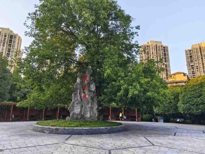  拒绝网红滤镜：为什么我们总误解身边的宝藏公园 文化旅游