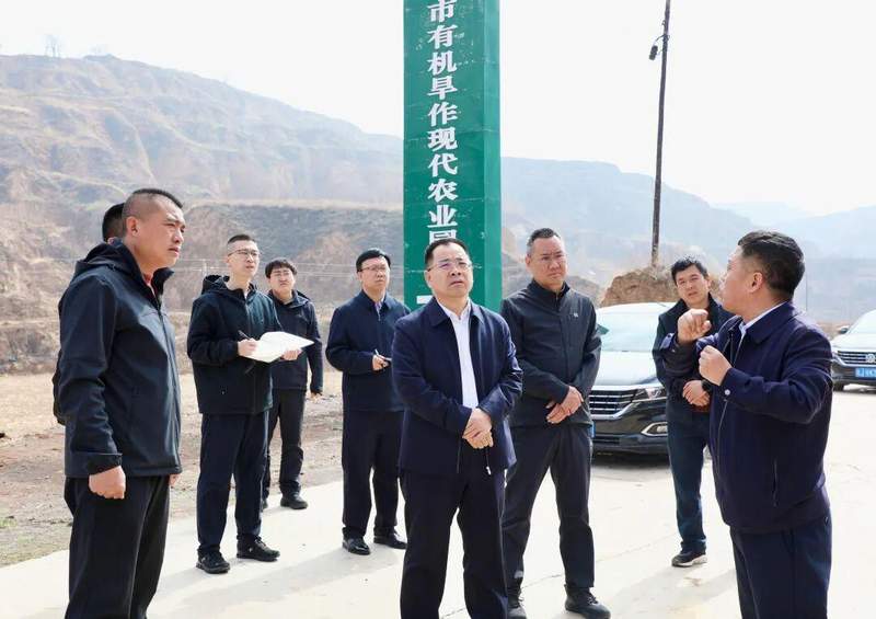 石楼县罗村镇:高标准农田建设的精度管理与乡村治理现代化路径 新闻