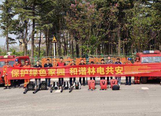 林电协同的技术逻辑：电网防山火的系统性防护机制