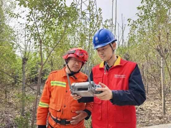 林电协同的技术逻辑:电网防山火的系统性防护机制 新闻
