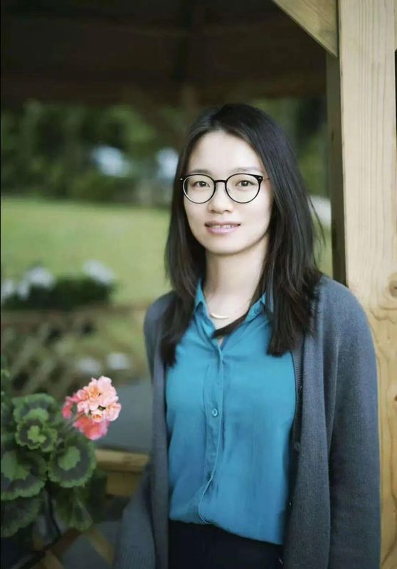  从北大到MIT：解码数学家王虹的学术攀登之路与挂谷猜想突破 IT技术