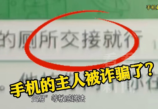  技术直觉如何撕开诈骗黑幕：一次例行巡查改写侦查走向 新闻