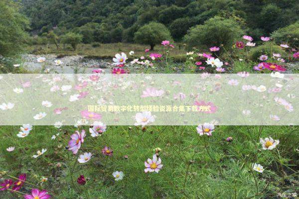 国际贸易数字化转型经验资源合集下载方式