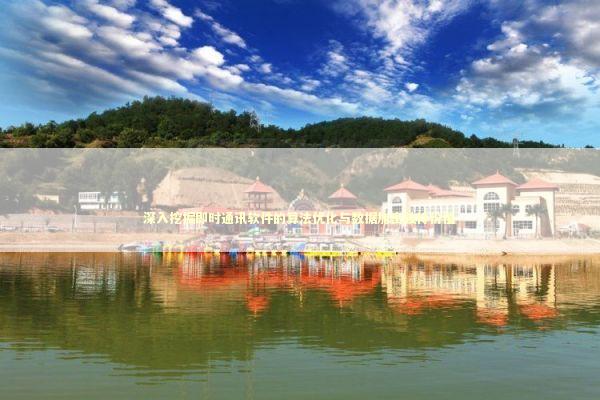 深入挖掘即时通讯软件的算法优化与数据加密独特价值