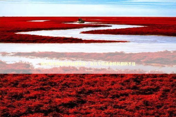 你以为访问官方网站就安全？这几个坑连老网民都防不住 IT技术