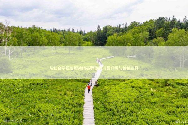 从社会学视角解读精英群体的消费升级与价值选择 时尚用品