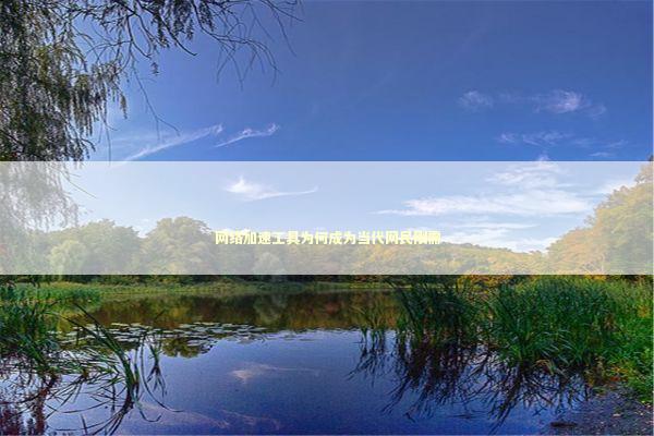 网络加速工具为何成为当代网民刚需 IT技术