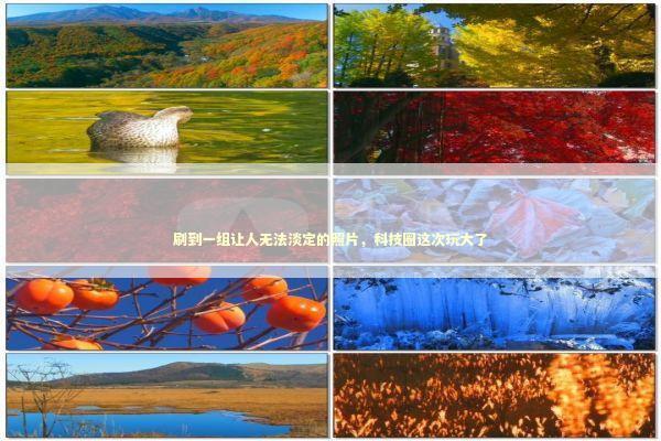 刷到一组让人无法淡定的照片，科技圈这次玩大了 手机评测